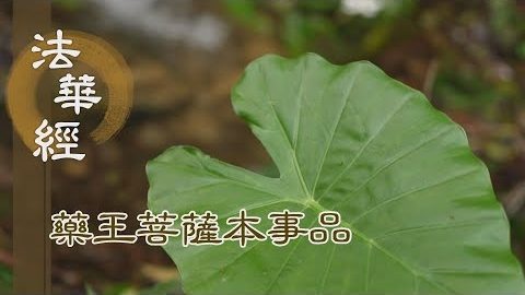 《法華經 藥王菩薩本事品》令諸迷者 知其所趣 - 第1835集