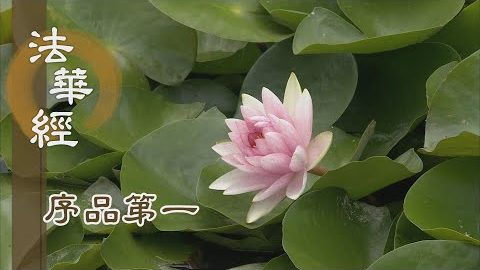 《法華經 序品第一》- 真如實相的妙法 - 第23集