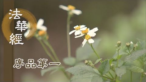 《法華經 序品第一》- 悲智同體 - 第74集