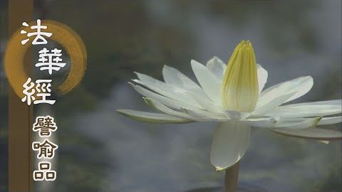 《法華經 譬喻品》光光相續 長慧脈傳 - 第510集
