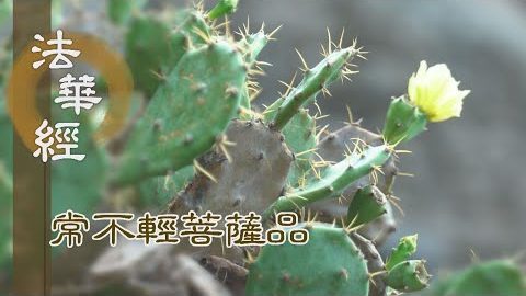 《法華經 常不輕菩薩品》諦理為本 俗事為跡 - 第1733集