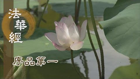 《法華經 序品第一》- 能仁定慧 悲智雙運 - 第115集