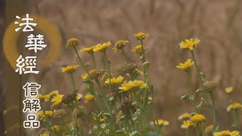 《法華經 信解品》終歸究竟菩提覺道 - 第731集