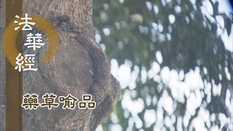 《法華經 藥草喻品》 - 慧心安忍 護惜眾生 - 第894集