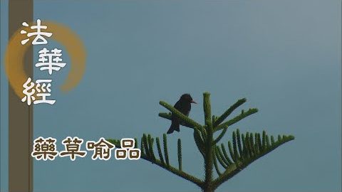 《法華經 藥草喻品》 - 四弘誓願 得佛涅槃 - 第883集