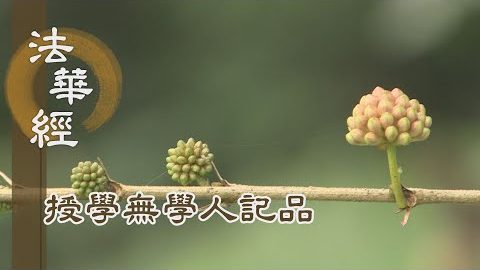 《法華經 授學無學人記品》- 護持正法 誓願弘宣 - 第1194集