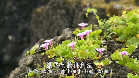 不捨眾生 應機逗教 - 第431集