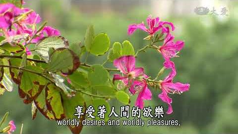 《法華經 見寶塔品》- 難持能持 諸佛歡喜 - 第1318集