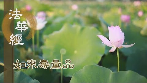 真理常住 本無生滅 - 第1547集