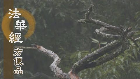 無貪最富 如法行道 - 第346集