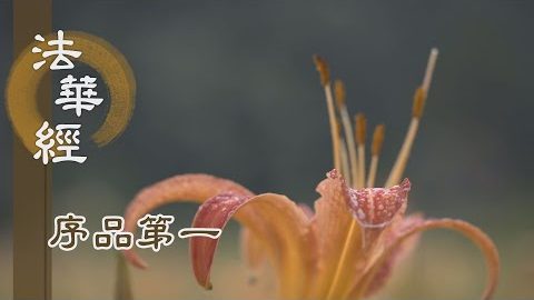 乞法度眾 身心清淨 - 第141集