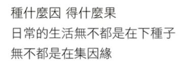 愛貓舔舔和牠的全世界