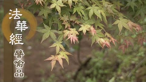 《法華經 譬喻品》安住實智 體解大道 - 第488集