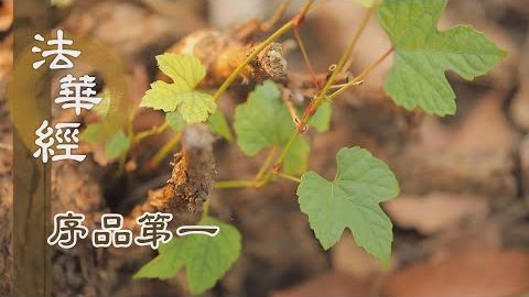 《法華經 序品第一》- 隱明示暗 鼓舞人心 - 第81集