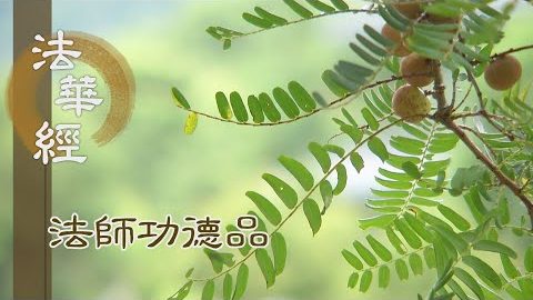 直心向道 勤行持善 - 第1653集