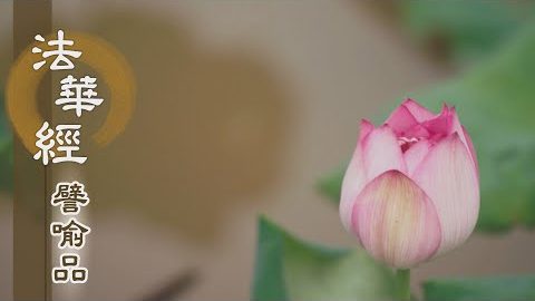 《法華經 譬喻品》一乘教門 - 第533集