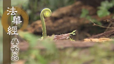 《法華經 譬喻品》勤修且隨喜 - 第518集
