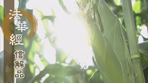 《法華經 信解品》出世慈父 不棄眾生 - 第823集