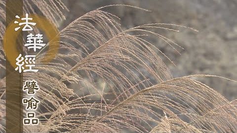 《法華經 譬喻品》慈悲等觀 會真如性 - 第483集