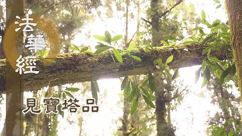 《法華經 見寶塔品》- 回心向大 立變淨土 - 第1287集