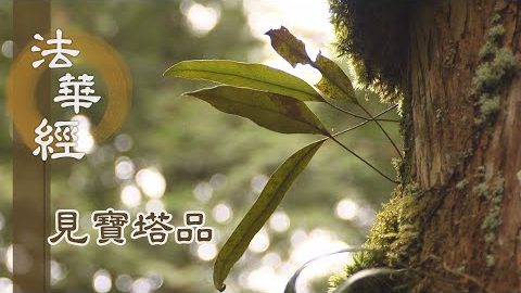 《法華經 見寶塔品》- 五分法身 覺照解脫 - 第1310集