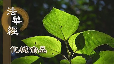 《法華經 化城喻品》 - 能信恆持 奉行一乘 - 第1061集