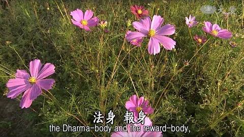 彌勒之請 佛顯祕密 - 第1511集