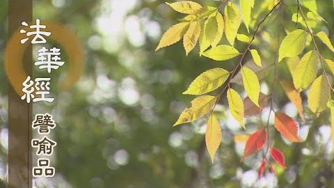 《法華經 譬喻品》和敬供養盡形壽 - 第509集