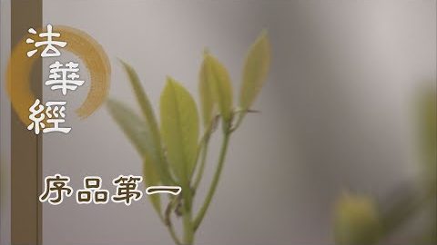 《法華經 序品第一》- 入佛門中 學正覺道 - 第67集