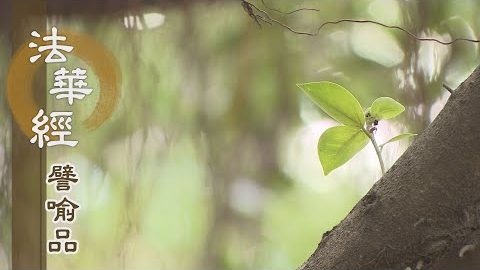 《法華經 譬喻品》法身舍利 如來中道 - 第719集