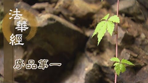 《法華經 序品第一》- 舍利弗 目犍連尊者 - 第45集