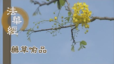 《法華經 藥草喻品》 - 如來甘露 唯一無二 - 第920集