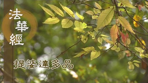 《法華經 提婆達多品》- 佛引本事 勸勵諸人 - 第1321集
