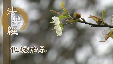 《法華經 化城喻品》 - 從因來果成正覺 - 第977集