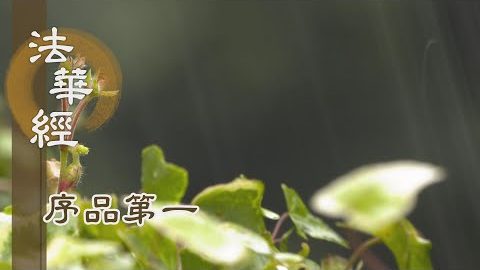 正信生善根 方便教眾生 - 第183集