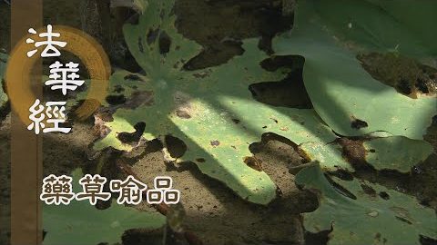 《法華經 藥草喻品》 - 聞法持戒 後生善處 - 第887集