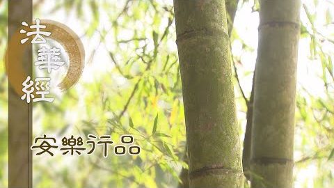 離諸障礙 慈心說法 - 第1423集
