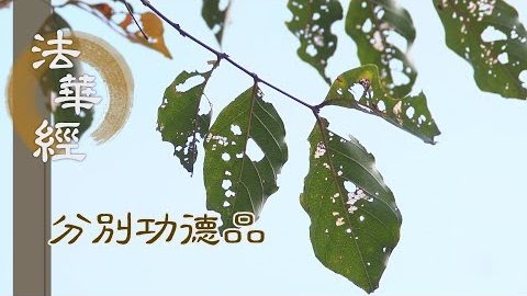 聞佛壽命 解其言趣 - 第1589集