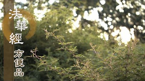 誠言不妄 信實莫疑 - 第376集