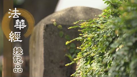 《法華經 授記品》 - 斷除無明 莊嚴其國 - 第965集