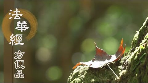 常懷慚愧 生善止惡 - 第454集