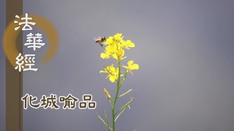 《法華經 化城喻品》 - 十方梵王 請轉法輪 - 第1029集