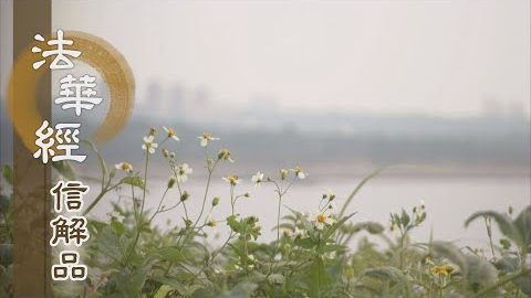 《法華經 信解品》本覺之理 湛然常住 - 第799集