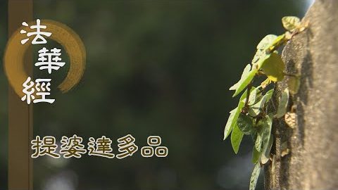 《法華經 提婆達多品》- 龍女獻珠 以智契理 - 第1356集